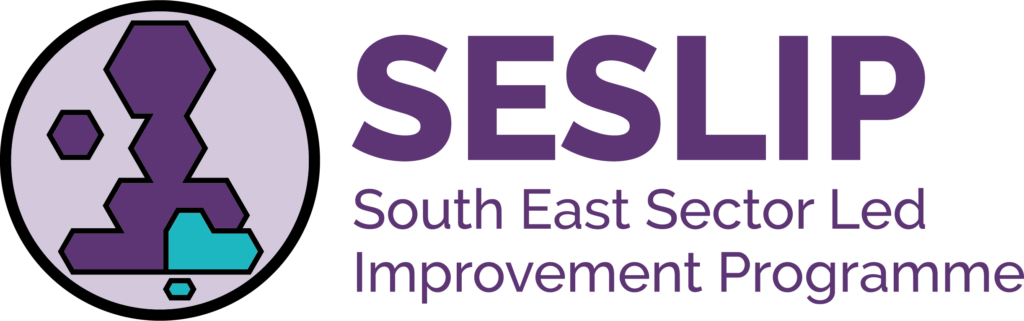 SESLIP Logo - Strapline reads South East Sector Led Improvement Programme